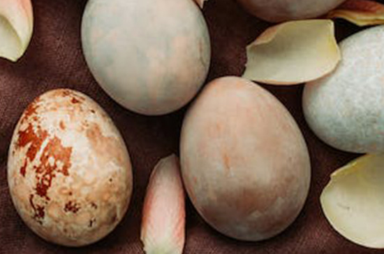 2023英文介绍复活节 对复活节的英语介绍