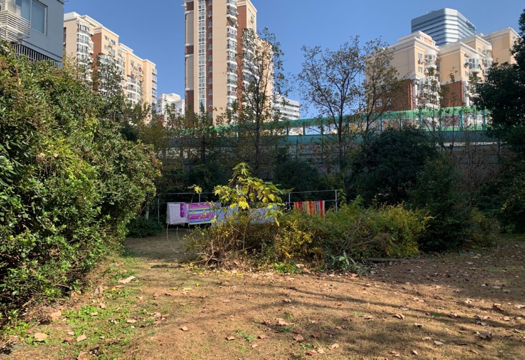 长宁这儿将打造一座“光合乐土”，满意居民接近天然的需求！