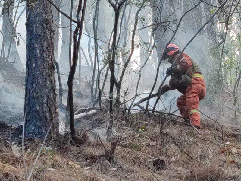 四川西昌森林火灾被熄灭 未形成人员伤亡 四川西昌森林火灾被熄灭 未形成人员伤亡
