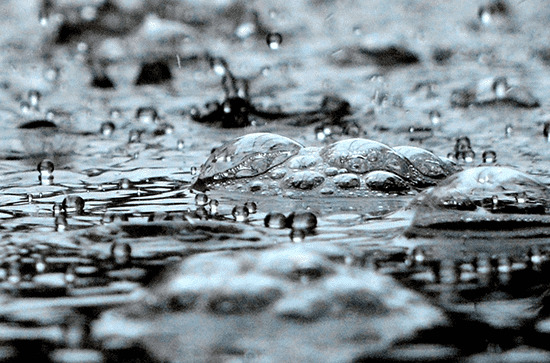 2023年谷雨立碑可以吗 谷雨立碑要注意什么 2023年谷雨立碑可以吗 谷雨立碑要注意什么