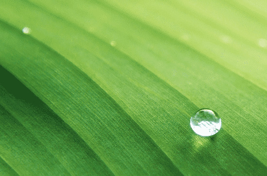 谷雨祭海祈福的风俗是什么 谷雨有什么禁忌