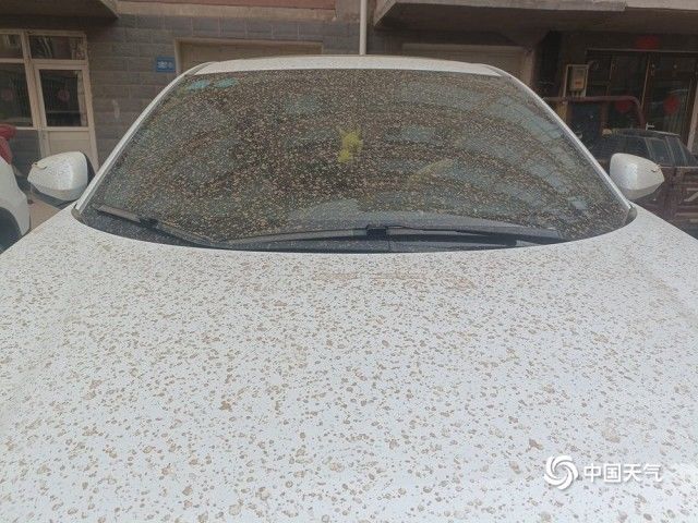 河北张家口崇礼下“泥雨” 轿车变泥车 河北张家口崇礼下“泥雨” 轿车变泥车