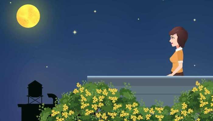 金星合昴星团今日登场 “维纳斯”和“七姐妹”今夜将神秘相约