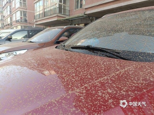 河北张家口崇礼下“泥雨” 轿车变泥车 河北张家口崇礼下“泥雨” 轿车变泥车