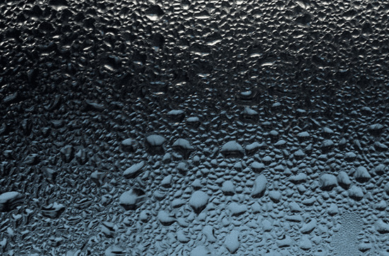 谷雨祭祀仓颉的由来 谷雨象征什么 谷雨祭祀仓颉的由来 谷雨象征什么