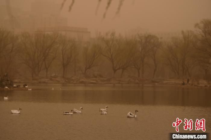 呼和浩特现劲风沙尘气候 天空成朦胧