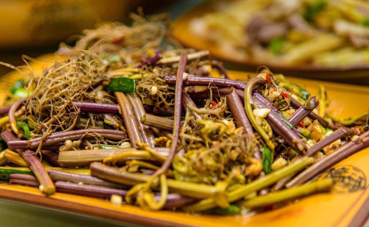 蕨菜致病不能吃？现在鱼腥草也致病？世卫安排：马兜铃酸强致病