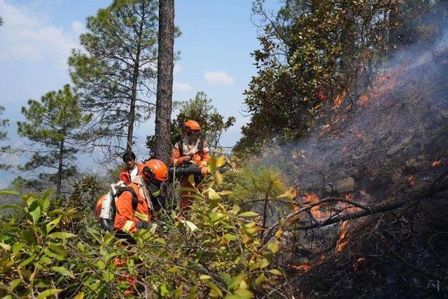 丽江玉溪两地产生森林火灾：仍有多条前方，多方力气补救中