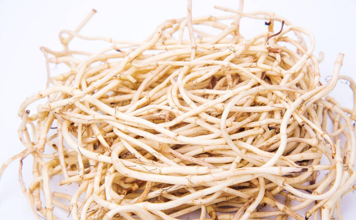 蕨菜致病不能吃？现在鱼腥草也致病？世卫安排：马兜铃酸强致病