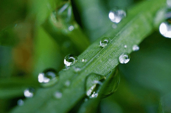 古代对谷雨的雅称是什么 谷雨时日常生活要注意什么 古代对谷雨的雅称是什么 谷雨时日常生活要注意什么