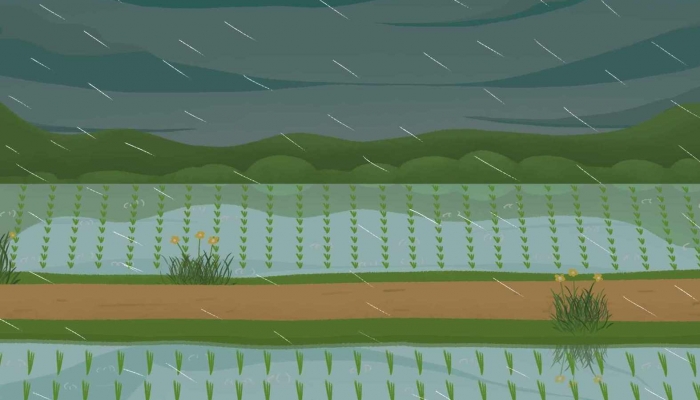 重庆今日各地陆续转为多云天气 全市最高气温或达31℃