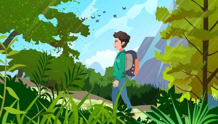 广东惠东发现“世界最神秘的鸟”为什么是世界上最神秘的鸟