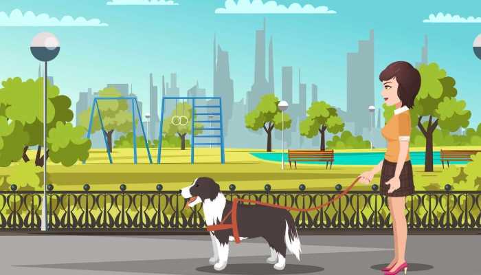 名犬哈士奇其实是一种什么犬 哈士奇属于哪种类型犬