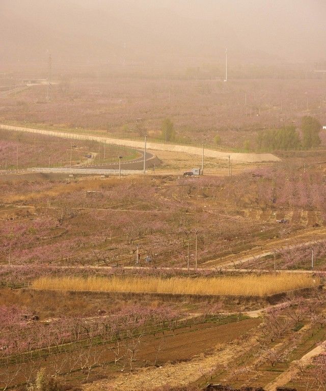沙尘暴蓝色预警继续，北方沙尘影响将继续至本周末
