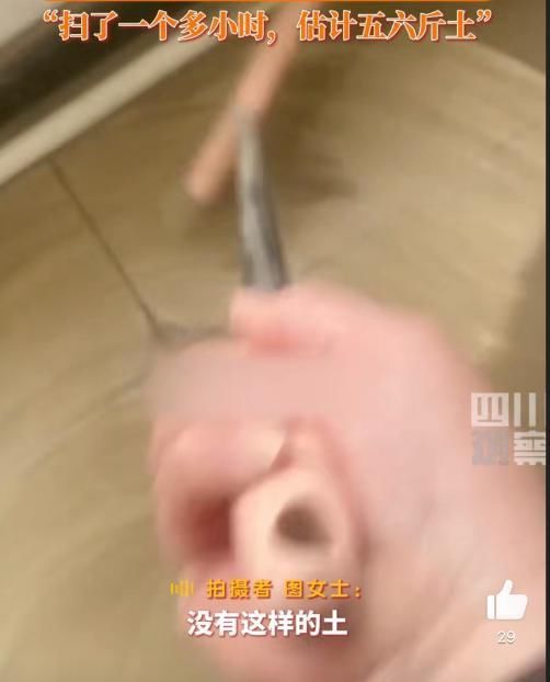 女子忘关窗回家扫土1小时，网友：才智了