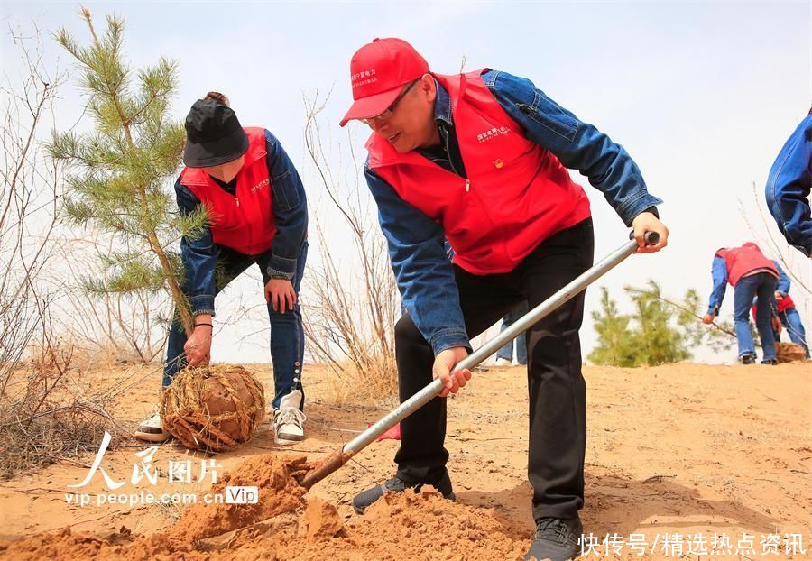 宁夏灵武:植绿治沙 宁夏灵武:植绿治沙
