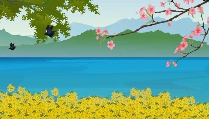 广东惠东发现“世界最神秘的鸟”为什么是世界上最神秘的鸟