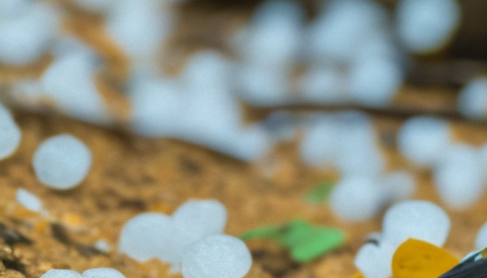 南方强对流天气又来了 安徽湖北湖南重庆福建等要注意