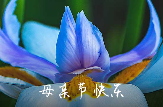 2023最简短的母亲节祝福语80句 2023母亲节温馨语录