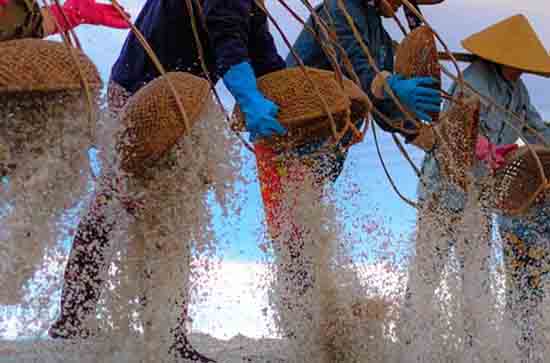 2023年五一哪天是三薪 2023五一哪天是三倍工资