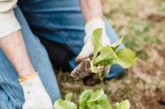 2023五一高速免费吗 今年五一高速免费通行吗2023 2023五一高速免费吗 今年五一高速免费通行吗2023