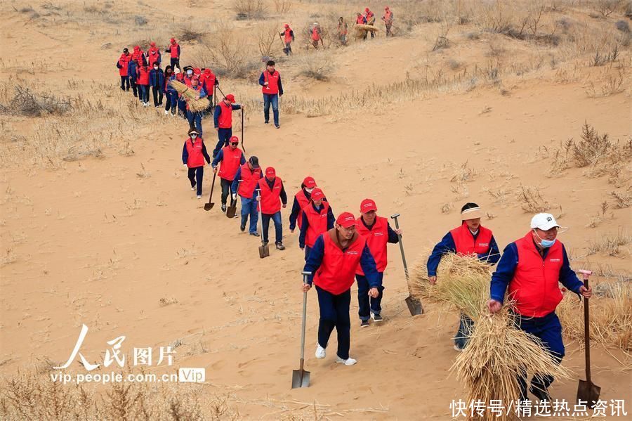 宁夏灵武:植绿治沙 宁夏灵武:植绿治沙