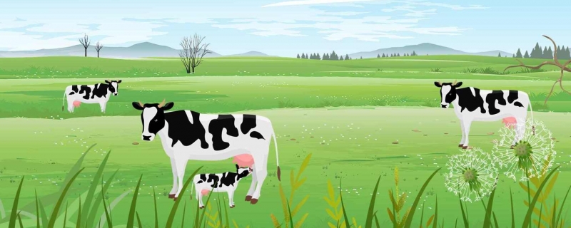 美国奶牛厂爆炸18000头牛死亡 爆炸产生了巨大的蘑菇云