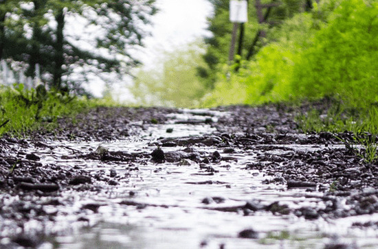 2023年谷雨是几月几号几点几分