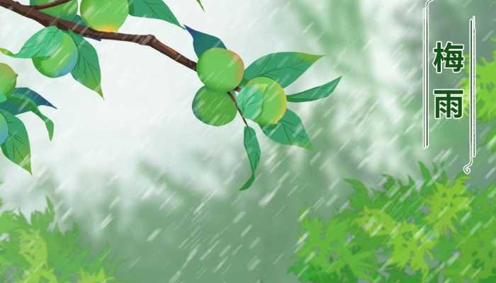 浙江4月15日将正式入汛:梅雨台汛期江河发生超警洪水概率较大