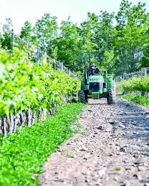 移民村是如何成为“亿元村”的——宁夏银川市西夏区昊苑村的交融开展之路