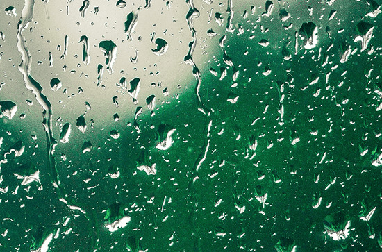 最美的谷雨时节文案 最美的谷雨时节说说