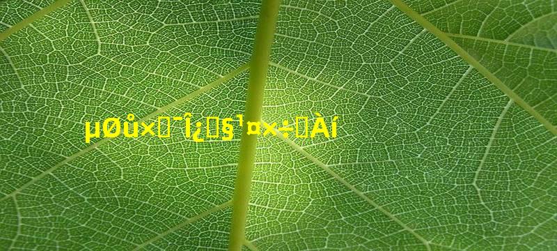 地暖自动温控阀工作原理