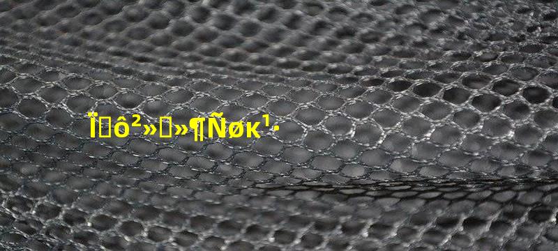 为什么不喜欢养母狗