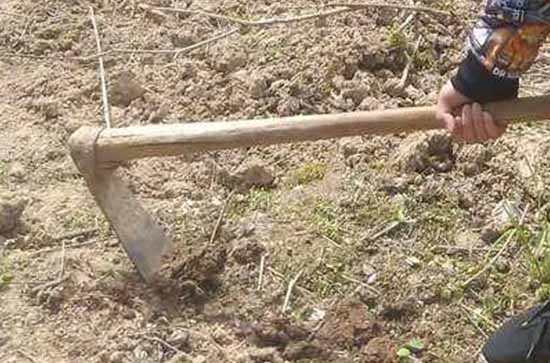 五一放假发朋友圈的说说 五一放假发朋友圈文案 五一放假发朋友圈的说说 五一放假发朋友圈文案