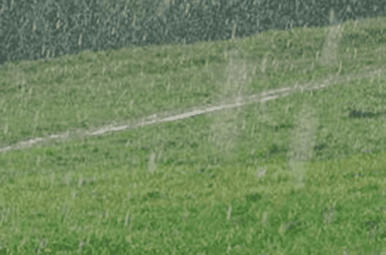 今年谷雨是几月几号2023