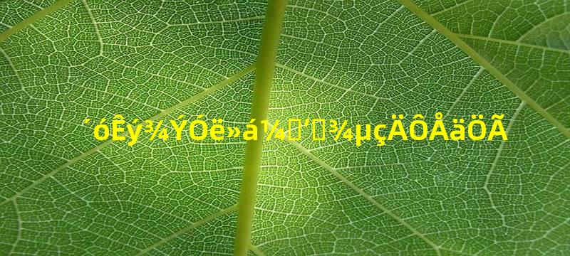 大数据与会计笔记本电脑配置