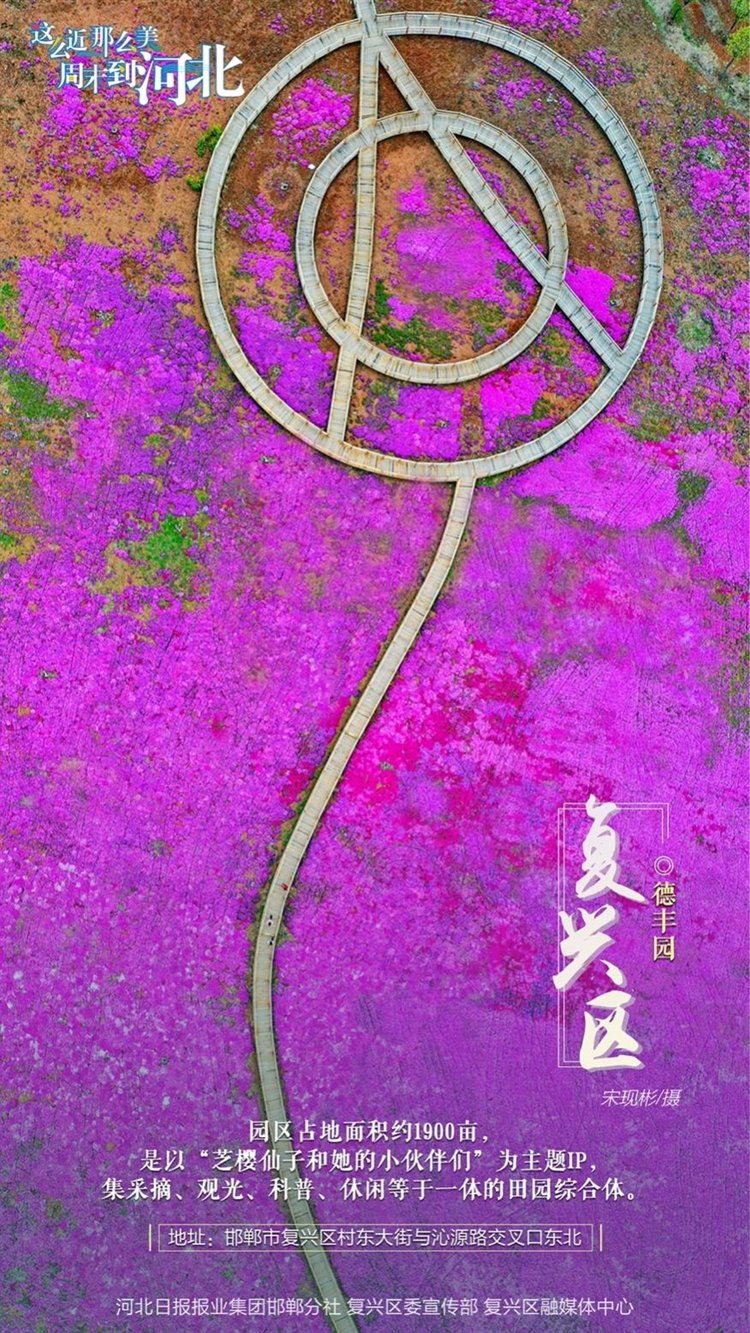 这么近 那么美 周末到河北丨邯郸复兴区·海报集 这么近 那么美 周末到河北丨邯郸复兴区·海报集