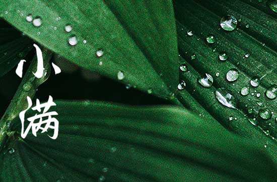 今日小满文案短句 小满节气唯美文案