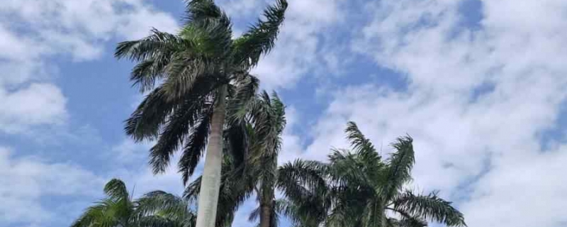 2023年海南三月三主会场在哪里 2023海南三月三举办地点汇总