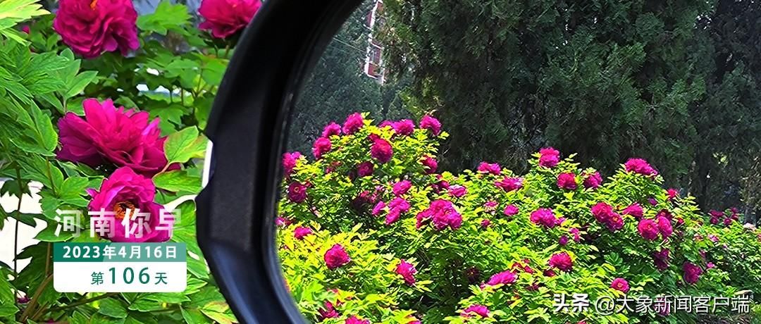 河南你早丨河南发布7名干部拟任职公示;河南省中招考试时刻和难度系数发布 河南你早丨河南发布7名干部拟任职公示;河南省中招考试时刻和难度系数发布