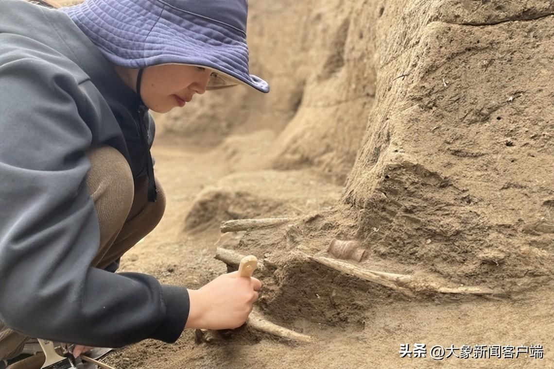 河南你早丨河南发布7名干部拟任职公示;河南省中招考试时刻和难度系数发布 河南你早丨河南发布7名干部拟任职公示;河南省中招考试时刻和难度系数发布