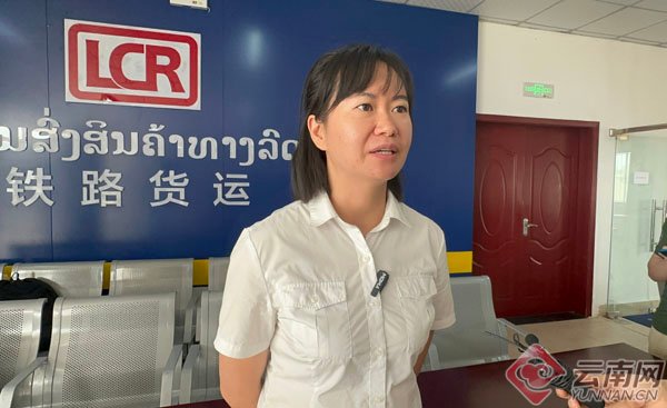 占芭花开·中老铁路上的“黄金组合” 占芭花开·中老铁路上的“黄金组合”