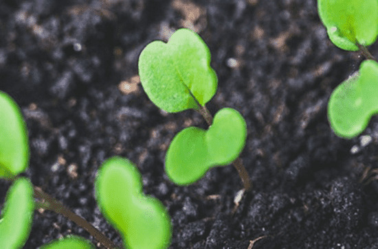 今日谷雨几点几分,2023年谷雨具体时间 今日谷雨几点几分,2023年谷雨具体时间