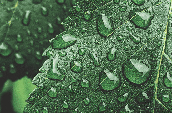 2023年谷雨具体时间,今年谷雨节气是哪天 2023年谷雨具体时间,今年谷雨节气是哪天