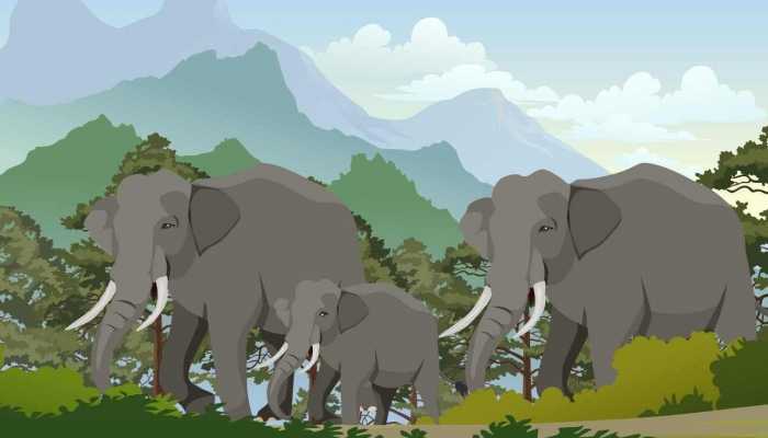 大象经常用鼻子吸水喷身上是为了什么 大象总用鼻子吸水喷到身上的原因