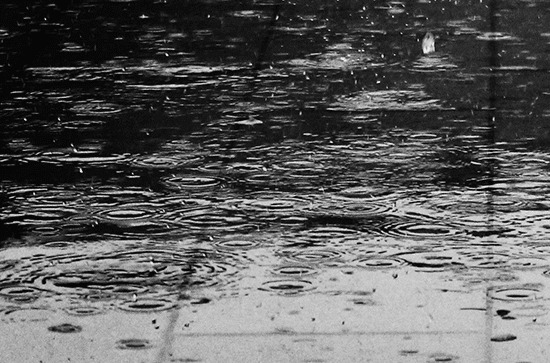 2023年谷雨是好日子吗