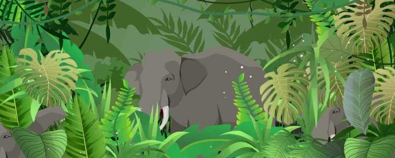 大象经常用鼻子吸水喷身上是为了什么 大象总用鼻子吸水喷到身上的原因
