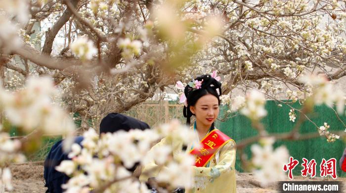 新疆库尔勒市“梨花姑娘”散步梨园。 王小军 摄 新疆库尔勒市“梨花姑娘”散步梨园。 王小军 摄
