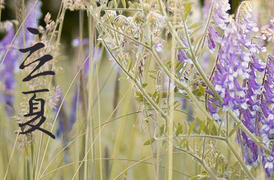 天气热发个朋友圈怎么说短语 天气热发朋友圈的文案搞笑 天气热发个朋友圈怎么说短语 天气热发朋友圈的文案搞笑