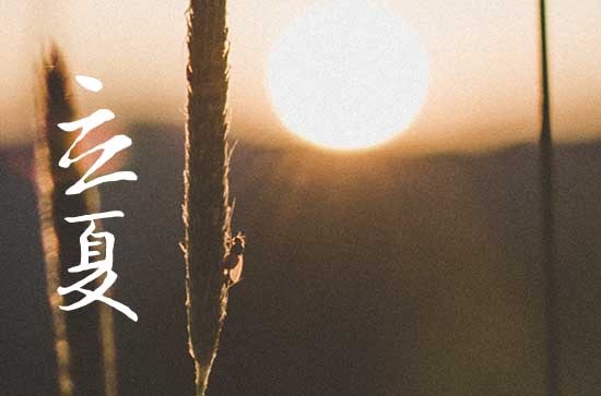 立夏是2023的几月几日几点 立夏是2023的几月几日几点